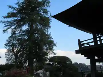 宗泉寺(東京都)