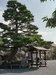 総持寺(大阪府)