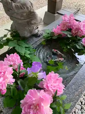 滑川神社 - 仕事と子どもの守り神(福島県)