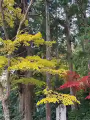 丹生都比売神社(和歌山県)