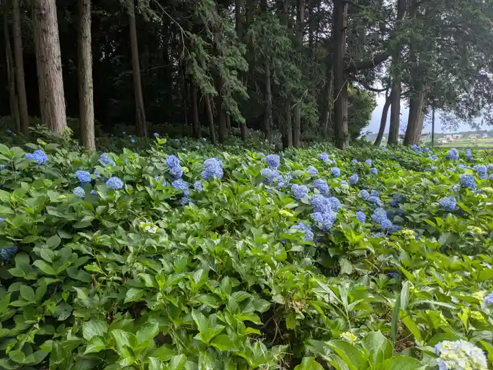 大宝八幡宮(茨城県)