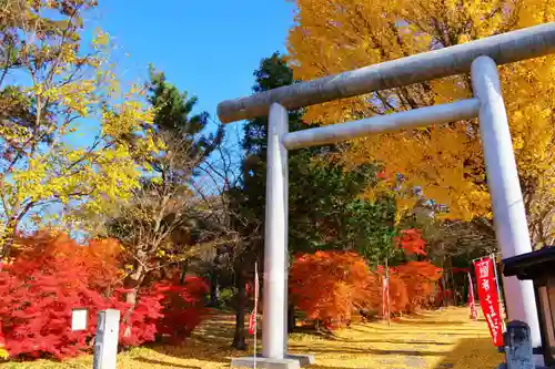 青柳神社の鳥居