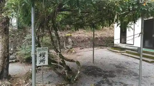 香下神社の建物その他