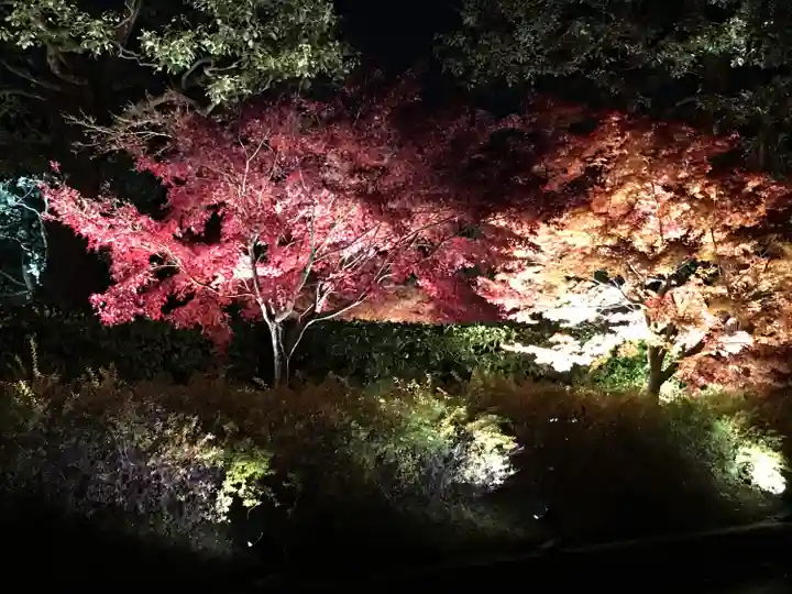 東寺(教王護国寺)(京都府)