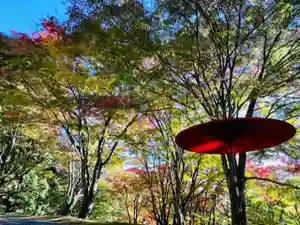 土津神社|こどもと出世の神さまの景色(2022年10月29日(土) 19時15分41秒投稿)