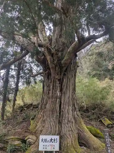 大原神社(京都府)