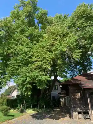 延寿寺観音堂(岩手県)