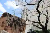 常圓寺(東京都)