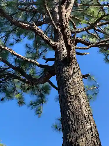 慈恩寺(埼玉県)