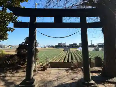 七右衛門新田稲荷神社(千葉県)