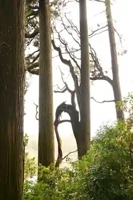 熊野鳴瀧神社(宮崎県)