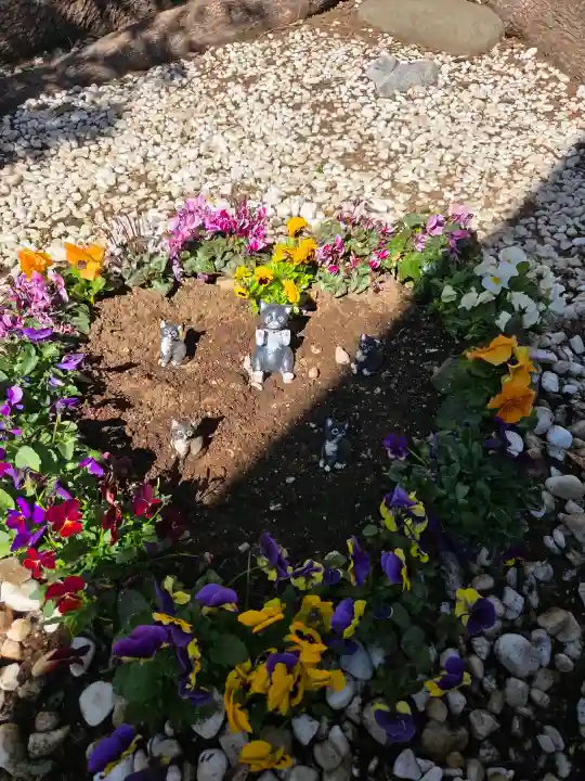 鳩ヶ谷氷川神社の{uncategorized: "未分類", other: "その他", undefined: "問題あり", building: "その他建物", grave: "お墓", sacred_gate: "鳥居", guardian: "狛犬", statue: "像", buddha: "仏像", history: "歴史", nature: "自然", garden: "庭園", animal: "動物", pagoda: "塔", temizu: "手水舎", mountain_gate: "山門・神門", sanctuary: "本殿・本堂", subordinate: "末社・摂社", art: "芸術", scenery: "景色", jizo: "地蔵", ema: "絵馬", goshuin: "御朱印", omikuji: "おみくじ", items: "授与品その他", amulet: "お守り", goshuincho: "御朱印帳", eats: "食事", festival: "お祭り", votive_dance: "神楽", shichigosan: "七五三参", wedding: "結婚式", experience: "体験その他", initially: "初詣", around: "周辺", anti_infection: "感染症対策"}