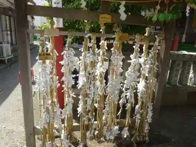桜森稲荷神社のおみくじ