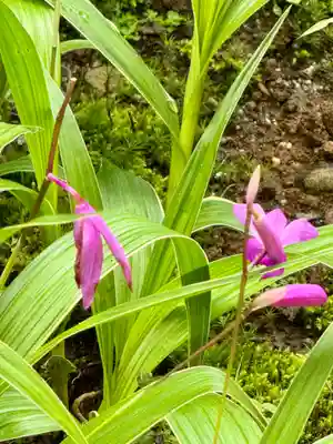 西来院(京都府)