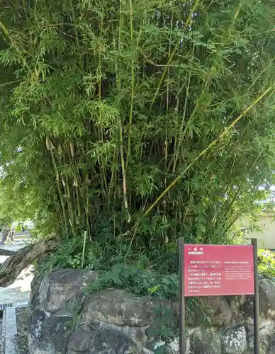 達磨寺の庭園