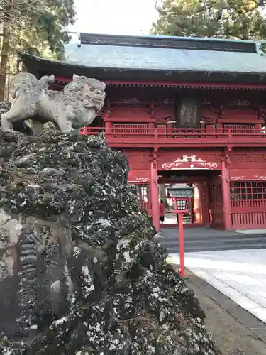 富士山東口本宮 冨士浅間神社の狛犬