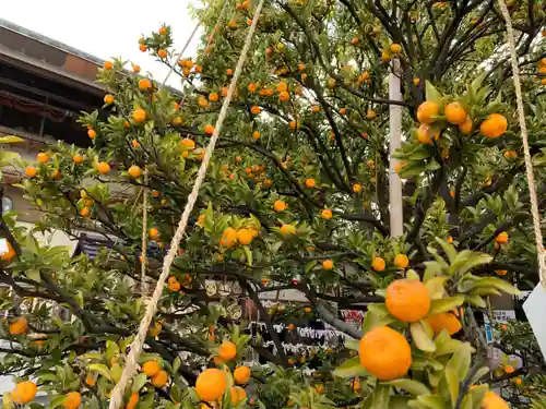 佐佳枝廼社の自然