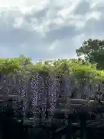 興福寺の{uncategorized: "未分類", other: "その他", undefined: "問題あり", building: "その他建物", grave: "お墓", sacred_gate: "鳥居", guardian: "狛犬", statue: "像", buddha: "仏像", history: "歴史", nature: "自然", garden: "庭園", animal: "動物", pagoda: "塔", temizu: "手水舎", mountain_gate: "山門・神門", sanctuary: "本殿・本堂", subordinate: "末社・摂社", art: "芸術", scenery: "景色", jizo: "地蔵", ema: "絵馬", goshuin: "御朱印", omikuji: "おみくじ", items: "授与品その他", amulet: "お守り", goshuincho: "御朱印帳", eats: "食事", festival: "お祭り", votive_dance: "神楽", shichigosan: "七五三参", wedding: "結婚式", experience: "体験その他", initially: "初詣", around: "周辺", anti_infection: "感染症対策"}