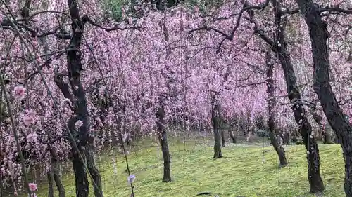 城南宮(京都府)