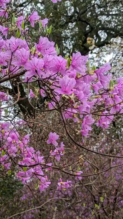 石山寺(滋賀県)