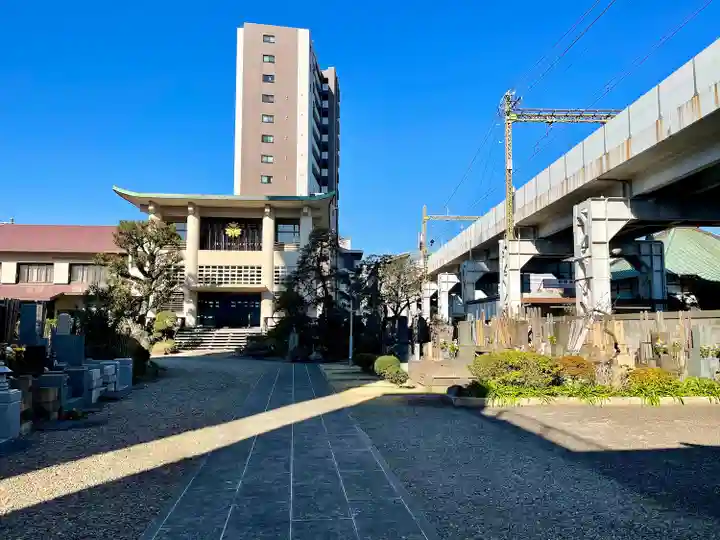妙蓮寺(東京都)