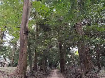 縣神社(千葉県)
