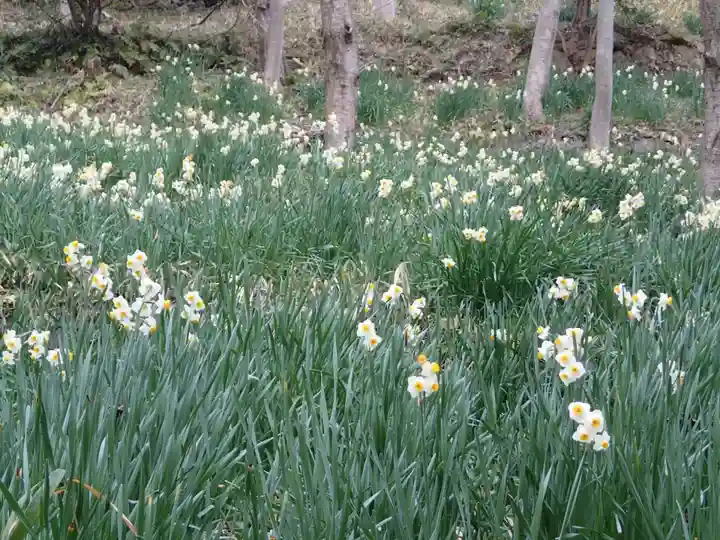 鐸比古鐸比賣神社旧社地の自然