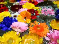 札幌諏訪神社の手水舎