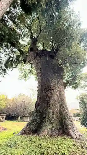 八幡神社(徳島県)