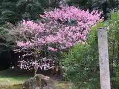 出石神社(兵庫県)