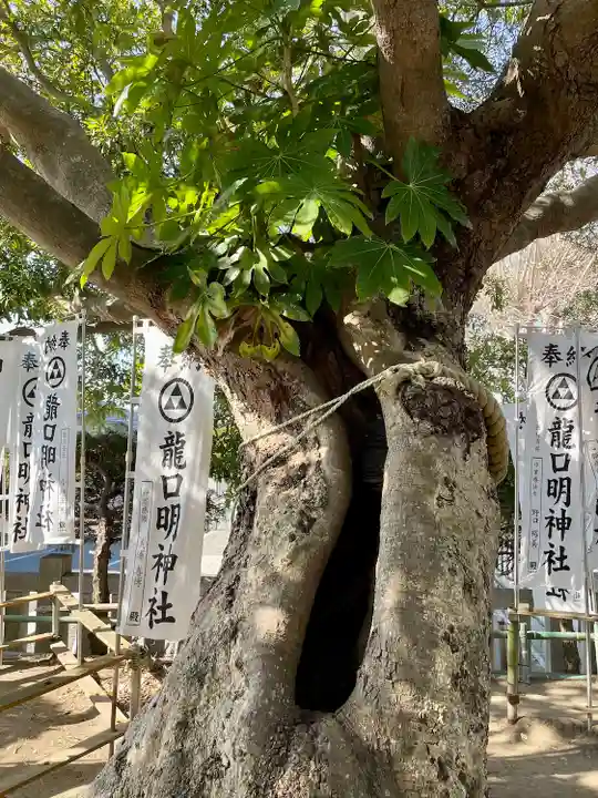 龍口明神社(神奈川県)