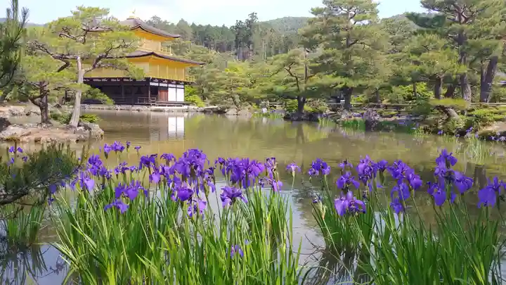 鹿苑寺(金閣寺)の庭園