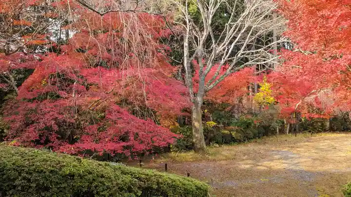 常照寺(京都府)