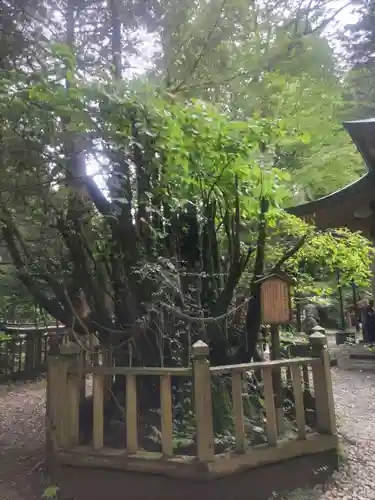 幣立神宮(熊本県)