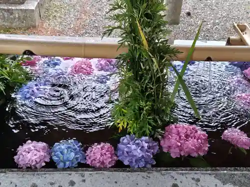 長浜八幡宮(滋賀県)