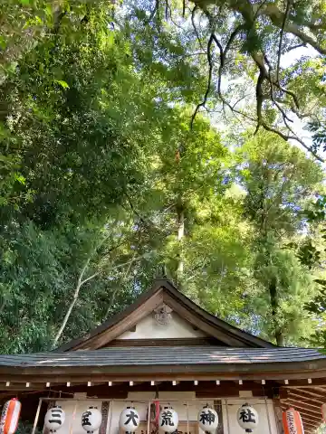 三寳大荒神社の本殿・本堂
