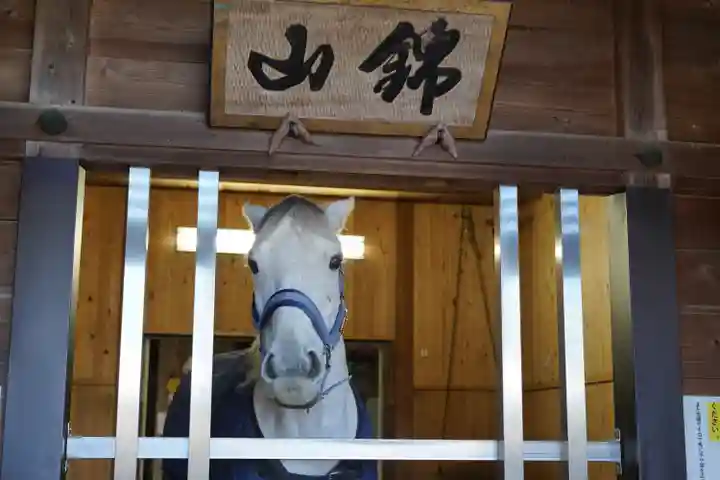 多度大社(三重県)