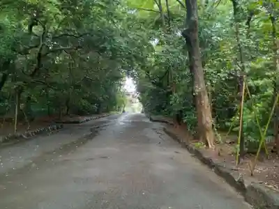 三嶋大社(静岡県)