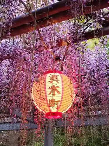 天満神社の自然