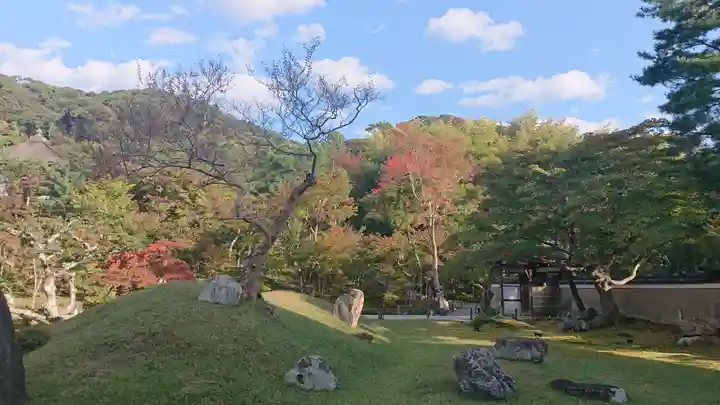 高台寺(高台寿聖禅寺・高臺寺)の景色