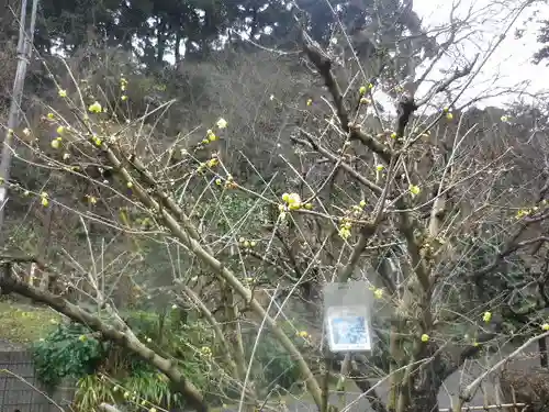 光則寺(神奈川県)