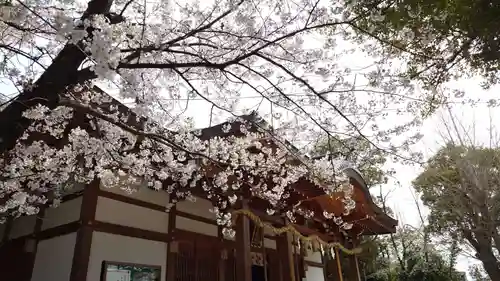 夜疑神社の自然