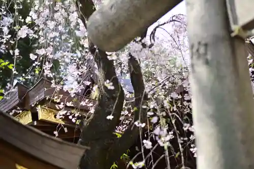 子安神社(東京都)