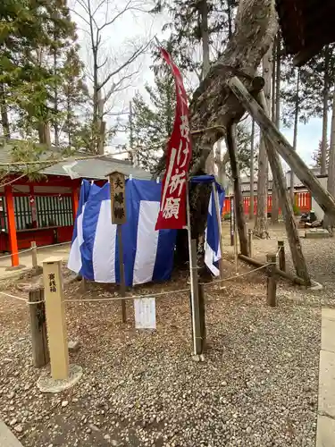 生島足島神社の自然