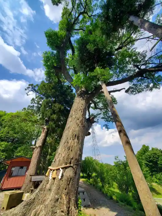 阿久津「田村神社」(郡山市阿久津町)旧社名:伊豆箱根三嶋三社(福島県)