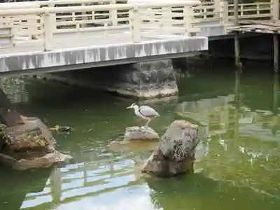 亀戸天神社(東京都)