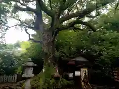 松森天満宮(長崎県)