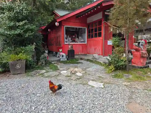 よさこい稲荷神社(高知県)