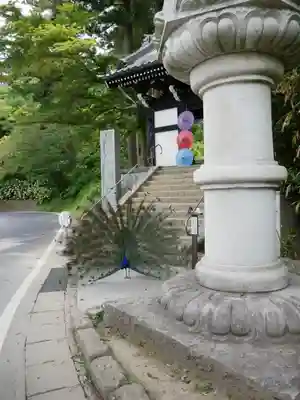 楽法寺（雨引観音）(茨城県)