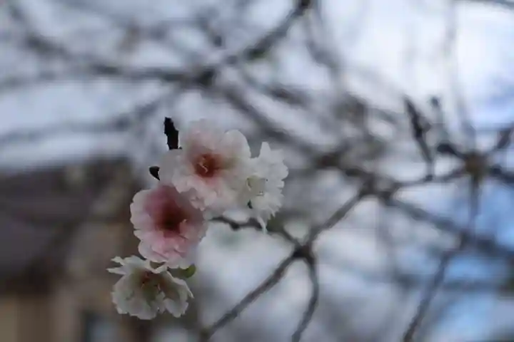中山神社(岡山県)